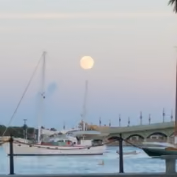 Bridge of Lions 2