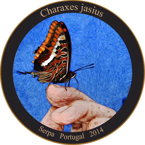 Item #83346383481971607988729477170446348570292642791419063456680174153900413157377 Media