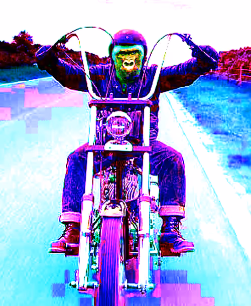 Item #86966113793369050127091850032642395415766610546514220273064902187511812456449 Media