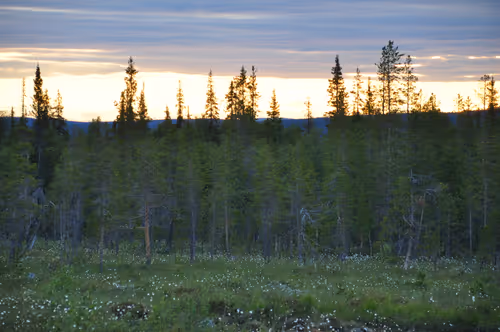 Item #92971587401879212914465603849674525645265351012255145539777938570720325926913 Media