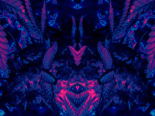 Item #83970981387443879143921485150900069530799783516997234463864977560076076187649 Media