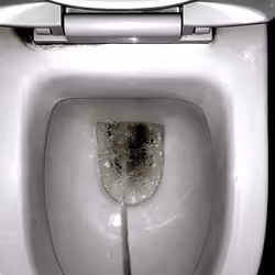 12660136923828748263426703316480839463053827608546839420335324047101621436417