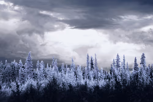 Item #62001089897654043678582796294711651900724303774679820814799839845567854280705 Media