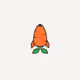 Carrotcompany Collection