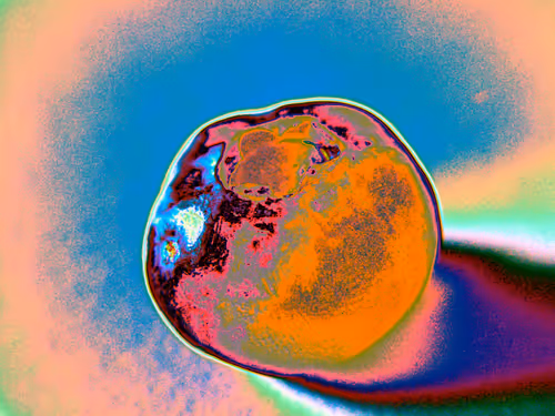 Item #58921648873001727541291667899035918231730626579624698148137299688066799108097 Media