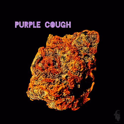 Item #87689570283297516471900235800511228078692535605346005540316604151019870355457 Media