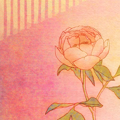 Subtle Beauty