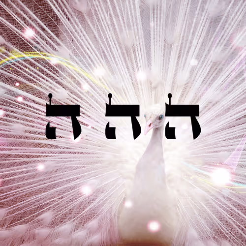 Item #60261209402415139582755570421670089329548312864668202741056926978460339929089 Media