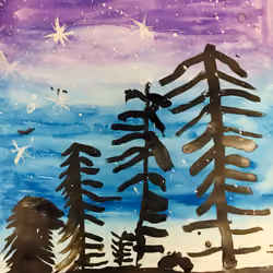 Night Forest