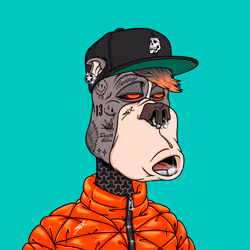 40721341926649942604524054295385484712682943270694199897760180139567343468545