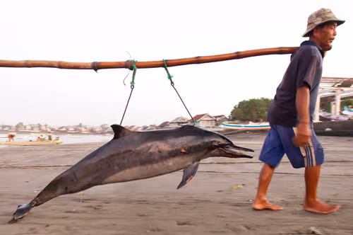 Item #19423020084367329247398987968940063498648581298497549755803293000268892864522 Media