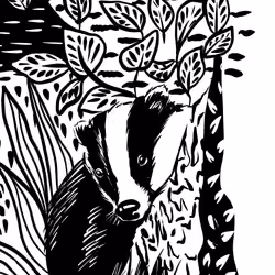 Badgers #05