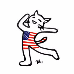 Happy Dancing Cat - USA