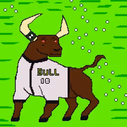 Ben Ten Bull #9