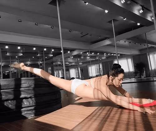 wangfigo1 Collection