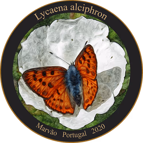 Item #83346383481971607988729477170446348570292642791419063456680174200079901523969 Media