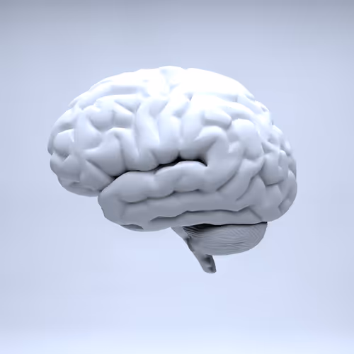 77412820926303725204956055566925211190020908428863033075197849052195258892289