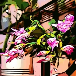 Plant Art🎨