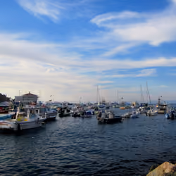 Catalina Sailing Mixer #11