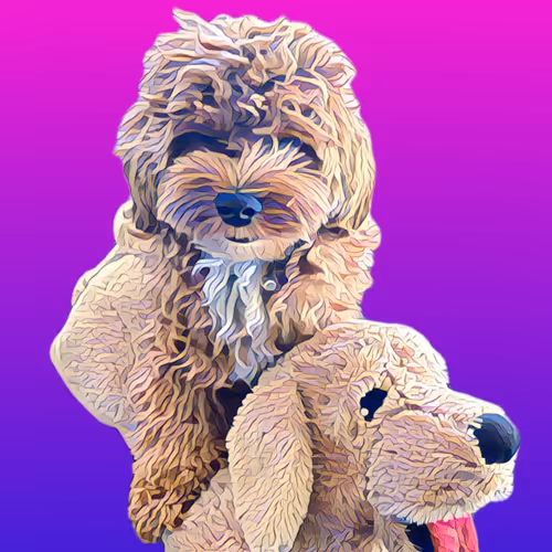 Metaversemaltipoo