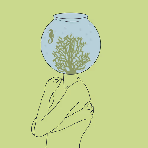 Item #21517484966144018509552876802059638888238149233559773676076195508279039754241 Media