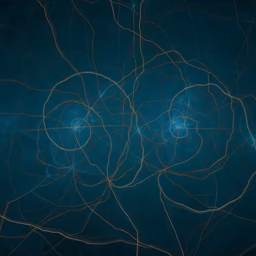 The Network Effect