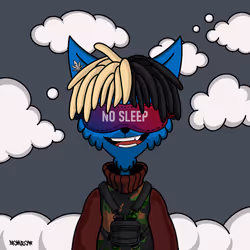 13336530732083187445826896678725927033227052228228271688163368110656359235585