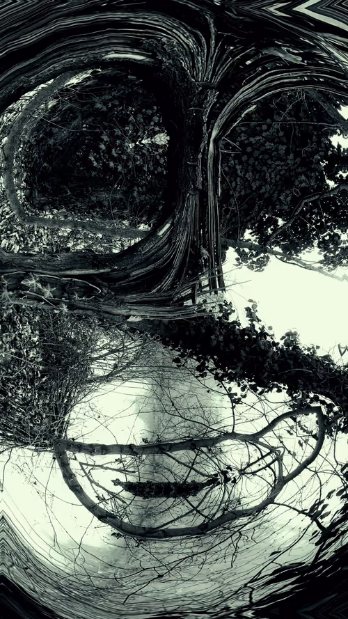 Item #24967146477419090921560663038626653354572651960968859782515528566995287015425 Media