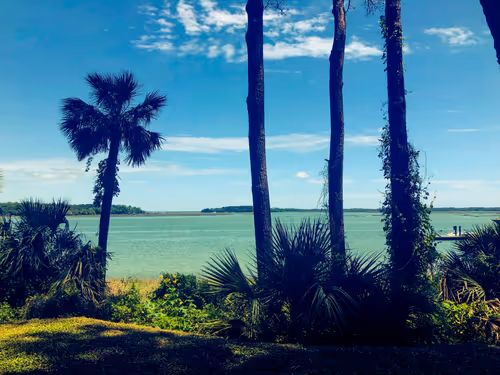 Item #53189486056573159248332941347174809648590364169606588961494996583952177692673 Media