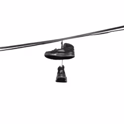 44231692163325033527706634296024509461007343983716307526579858963747842293761