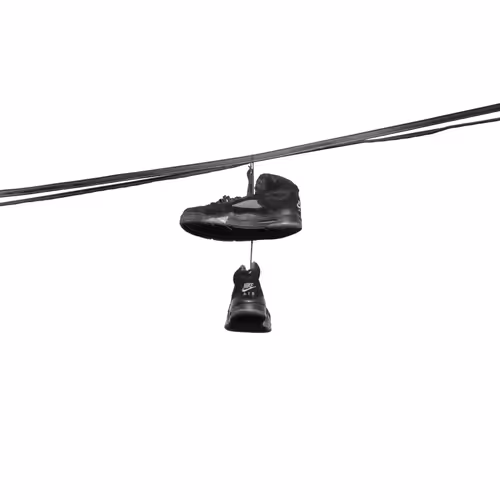 44231692163325033527706634296024509461007343983716307526579858963747842293761