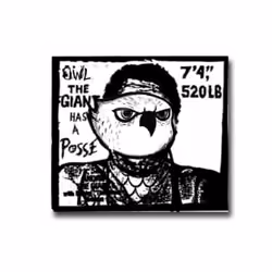 Owl The Giant