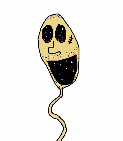 Item #55821112555373048994313304729541094956543670019884432065562933592632076533761 Media