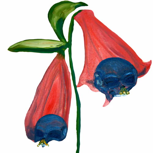 69430838204844007640929930896662390536474801311847444827586886701599202213889