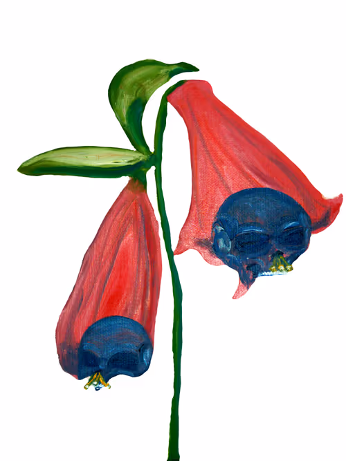 Item #69430838204844007640929930896662390536474801311847444827586886701599202213889 Media