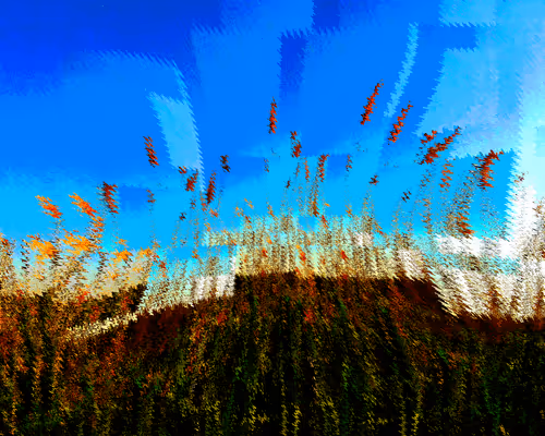 Item #107916259476164807250970753368899698568403674003143293495325882075581589225473 Media