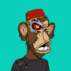 61711868753073721077003651849237961867593371442335358021915183778017933524993