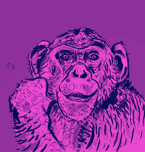 Item #39091703505809475788956350880894769302011138939225893693019847038777023266817 Media