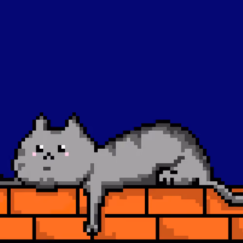 Fat Lazy Cat 1