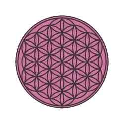 4927017782044229426331482456671357329386030981101879938860566502550095790088