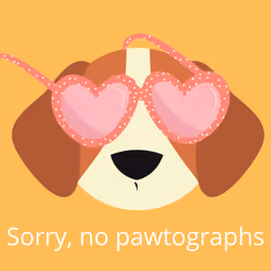Doggy diva