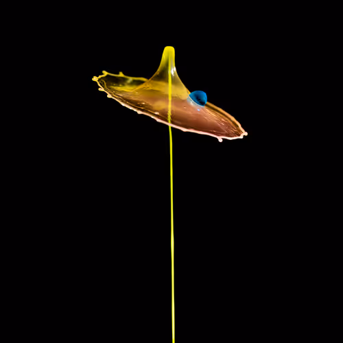 Item #93843816189578981246560604655943518308185846623120940061859981522217266577409 Media