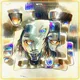 75051900356504322622630060587849300649285638785398583464776185175781945638913