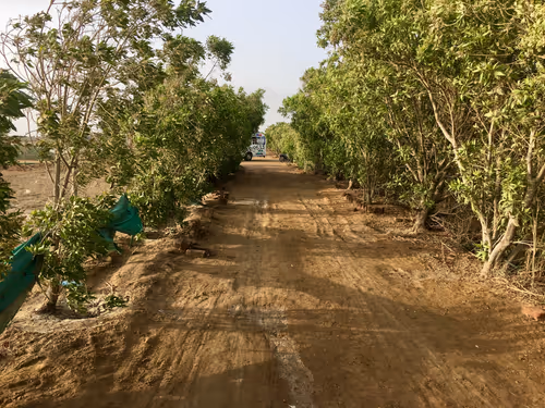 Item #68930698527264809190468656590261820993623292496804910864436067695318693576705 Media