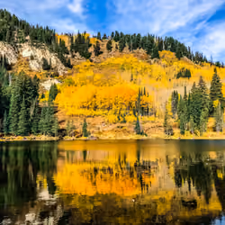 Goldy Lake