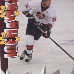 The "IceHawk"