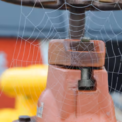 Webbed Up