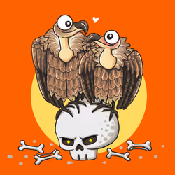 #43 vulture