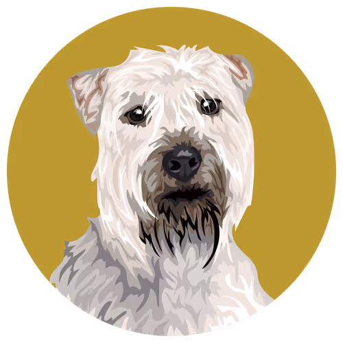 Item #54766349128176429303044182404049584425310907481653304317570413834175309152257 Media