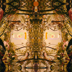 54411499690937640101772425138653578544162397958311670010148906844487935852545